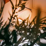 住宿加早餐酒店 第五日住宿加早餐旅馆 Carvalhal Bemfeito