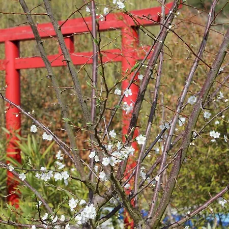 Quinta Japonesa Bed & Breakfast Carvalhal Bemfeito