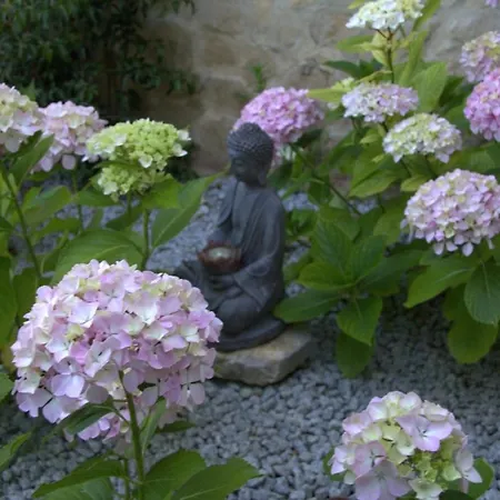 Bed & Breakfast Quinta Japonesa *