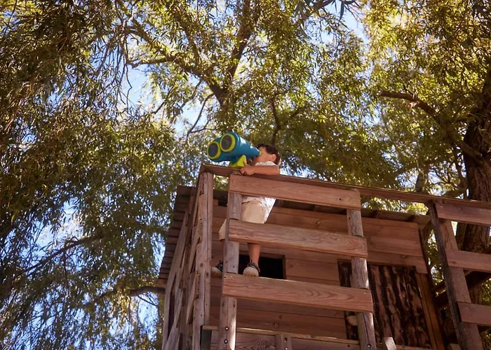 住宿加早餐酒店 第五日住宿加早餐旅馆 Carvalhal Bemfeito