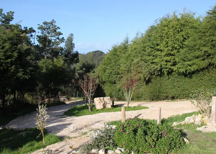 第五日住宿加早餐旅馆