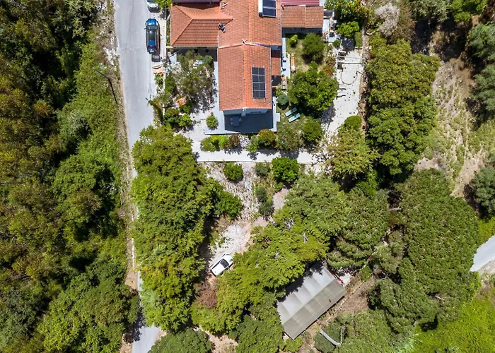 第五日住宿加早餐旅馆 4* Carvalhal Bemfeito