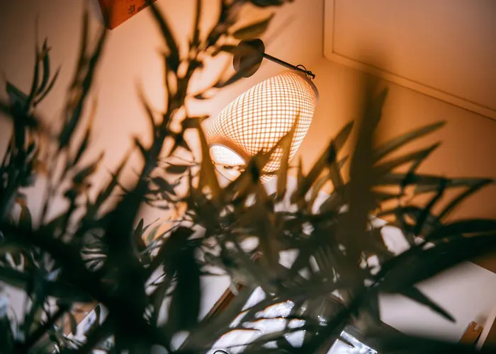 Bed & Breakfast Quinta Japonesa Carvalhal Bemfeito