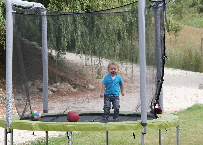 第五日住宿加早餐旅馆 4* Carvalhal Bemfeito