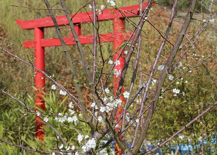 第五日住宿加早餐旅馆 住宿加早餐酒店 Carvalhal Bemfeito